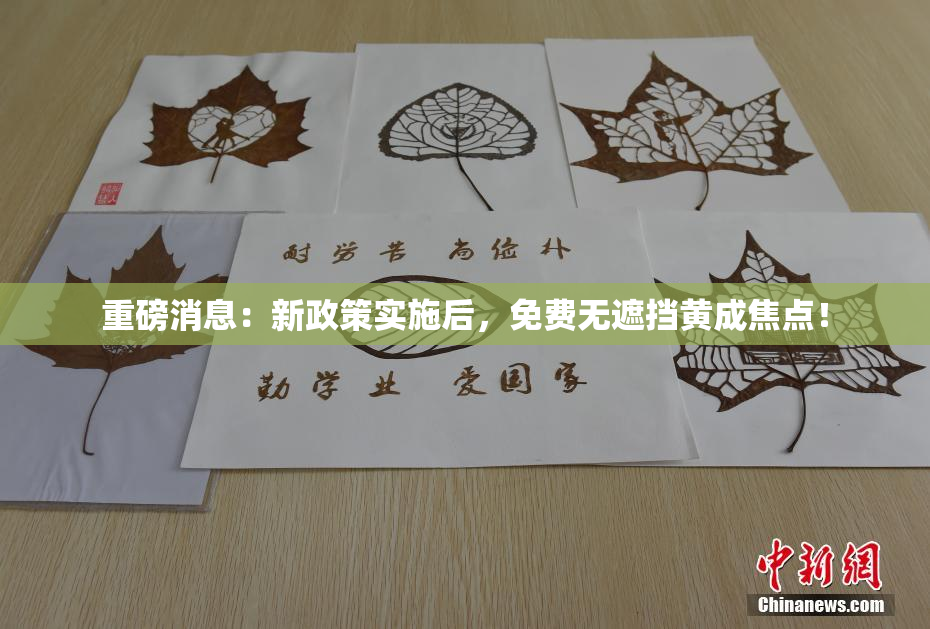 重磅消息：新政策实施后，免费无遮挡黄成焦点！