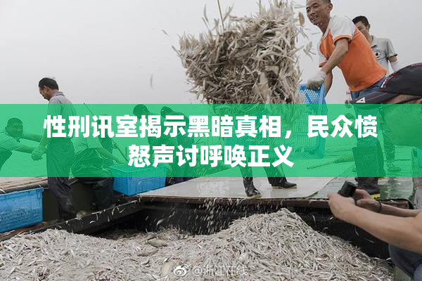 性刑讯室揭示黑暗真相，民众愤怒声讨呼唤正义