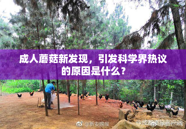 成人蘑菇新发现，引发科学界热议的原因是什么？