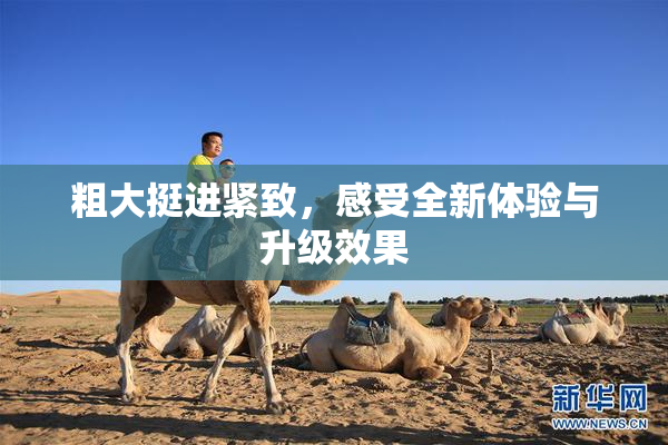 粗大挺进紧致，感受全新体验与升级效果