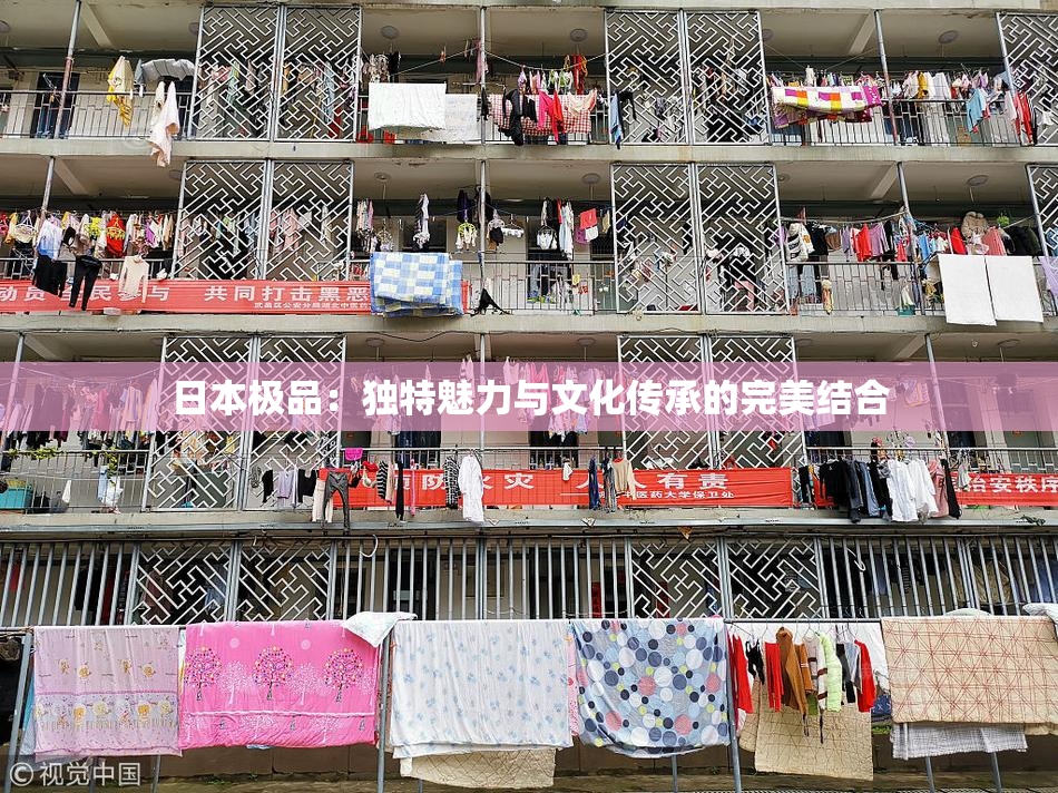 日本极品：独特魅力与文化传承的完美结合