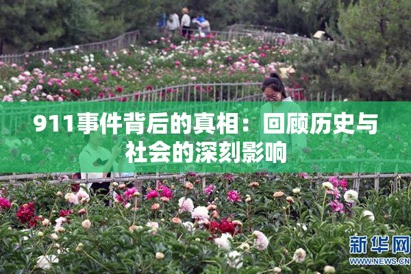 911事件背后的真相：回顾历史与社会的深刻影响