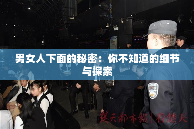 男女人下面的秘密：你不知道的细节与探索