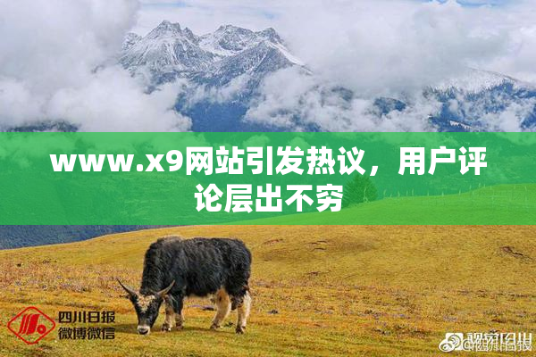 www.x9网站引发热议，用户评论层出不穷