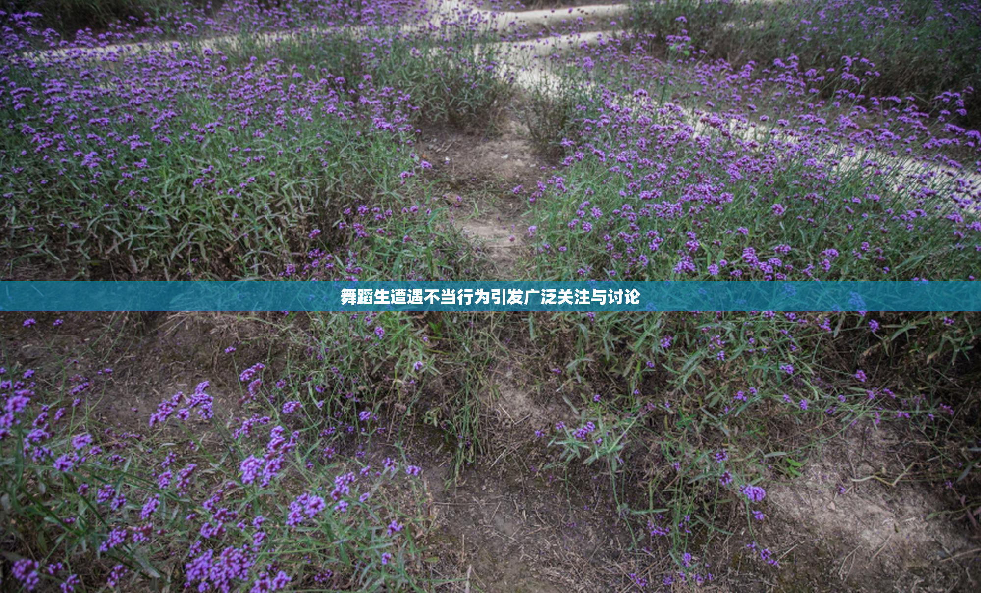 舞蹈生遭遇不当行为引发广泛关注与讨论