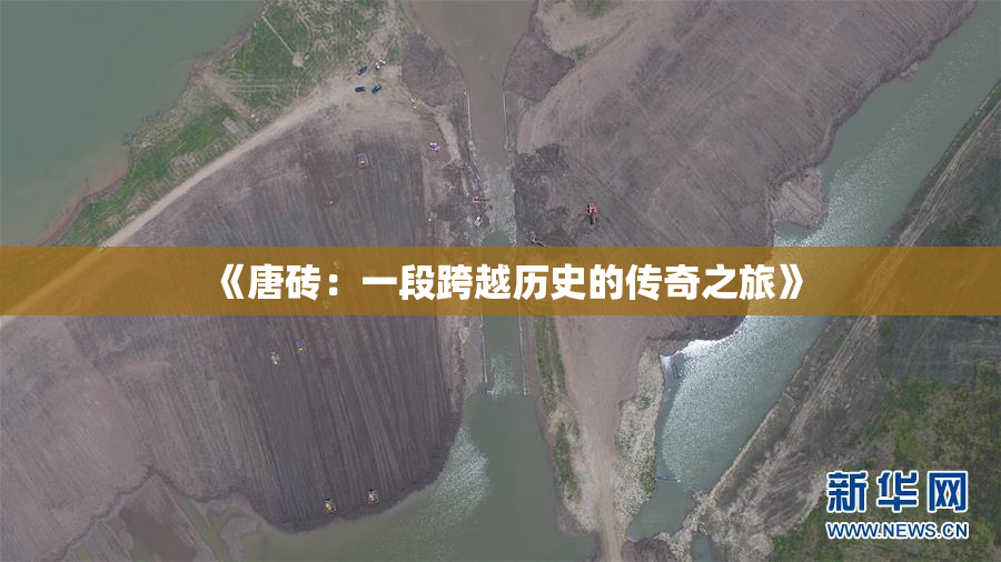 《唐砖：一段跨越历史的传奇之旅》