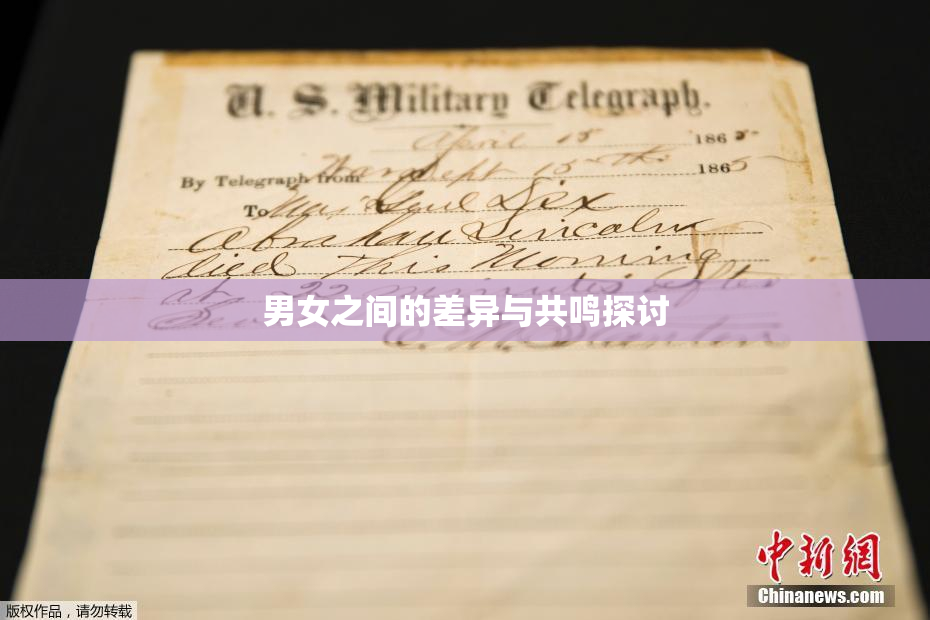 男女之间的差异与共鸣探讨
