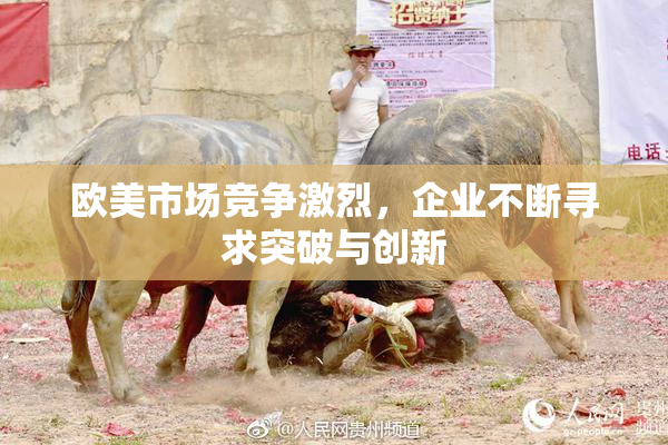欧美市场竞争激烈，企业不断寻求突破与创新