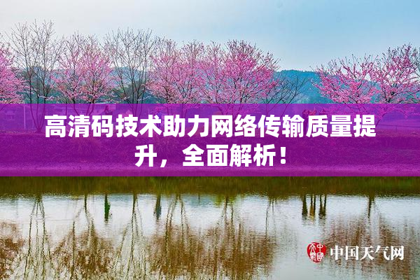 高清码技术助力网络传输质量提升，全面解析！
