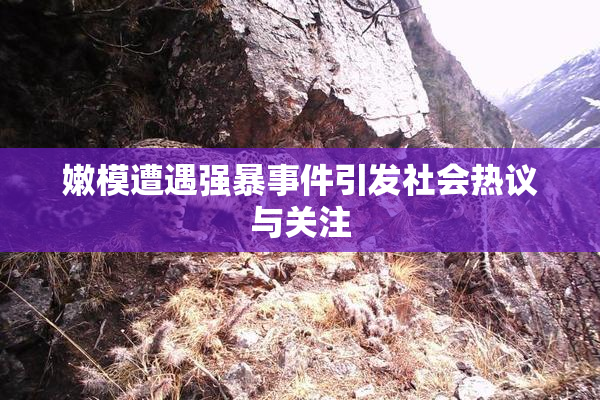 嫩模遭遇强暴事件引发社会热议与关注