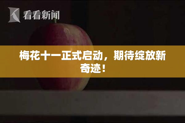 梅花十一正式启动，期待绽放新奇迹！