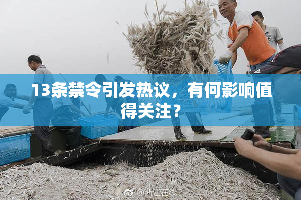 13条禁令引发热议，有何影响值得关注？