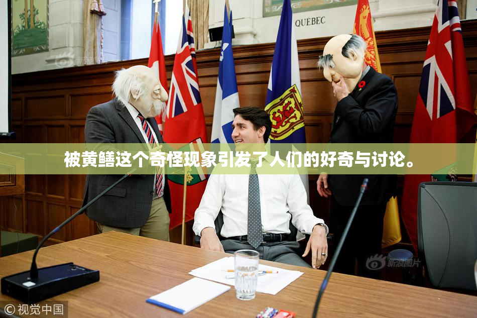 被黄鳝这个奇怪现象引发了人们的好奇与讨论。