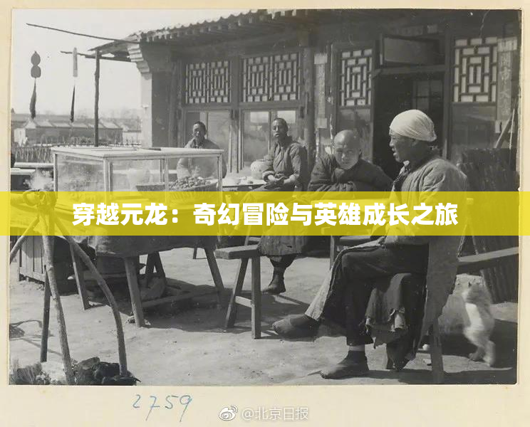 穿越元龙：奇幻冒险与英雄成长之旅