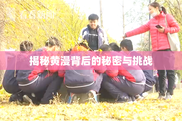 揭秘黄漫背后的秘密与挑战