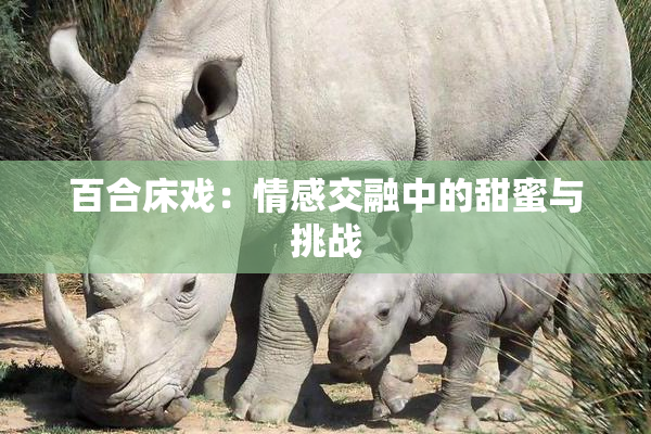 百合床戏：情感交融中的甜蜜与挑战