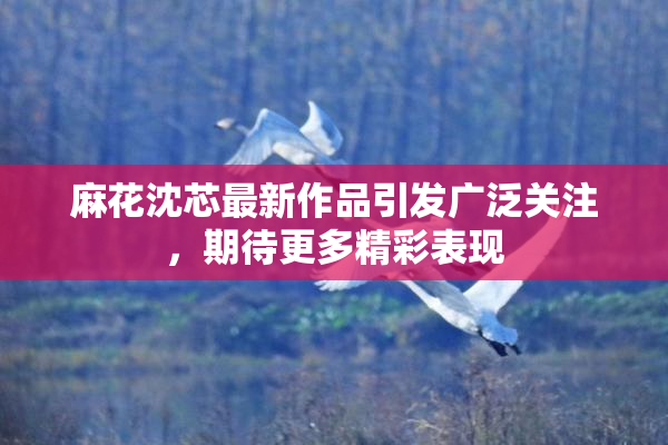 麻花沈芯最新作品引发广泛关注，期待更多精彩表现