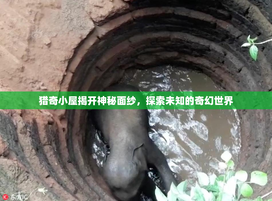 猎奇小屋揭开神秘面纱，探索未知的奇幻世界