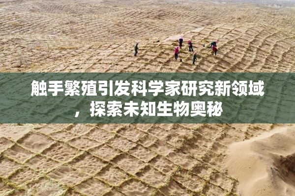 触手繁殖引发科学家研究新领域，探索未知生物奥秘