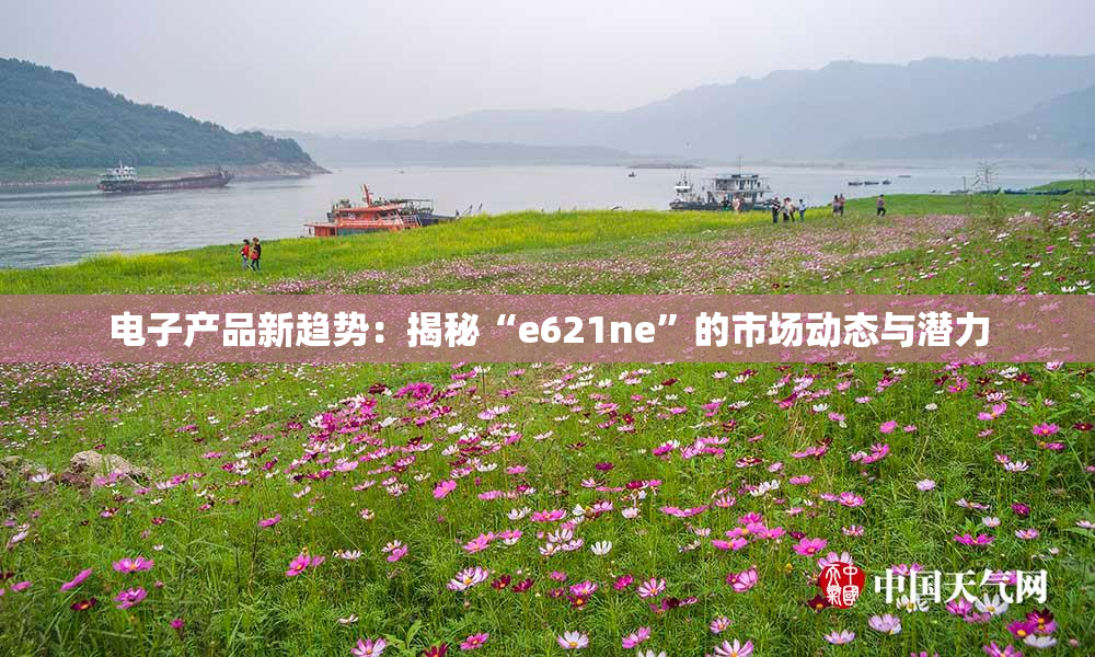 电子产品新趋势：揭秘“e621ne”的市场动态与潜力