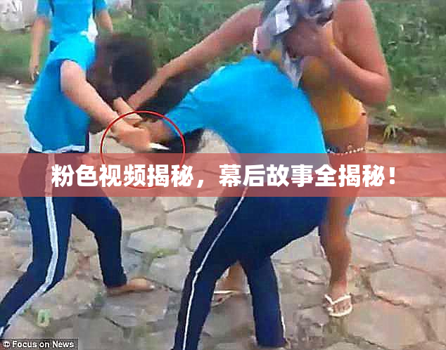 粉色视频揭秘，幕后故事全揭秘！