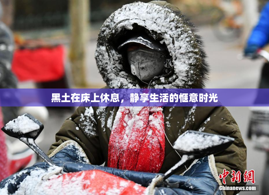 黑土在床上休息，静享生活的惬意时光