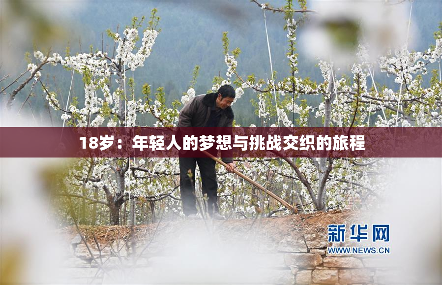 18岁：年轻人的梦想与挑战交织的旅程