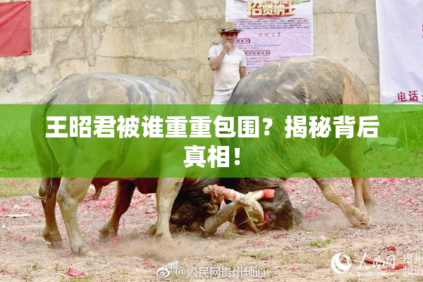 王昭君被谁重重包围？揭秘背后真相！