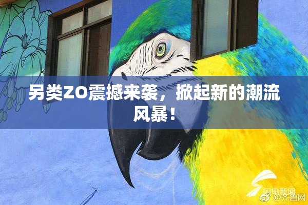 另类ZO震撼来袭，掀起新的潮流风暴！