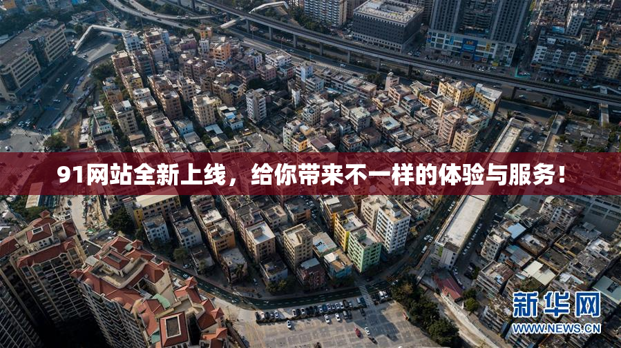 91网站全新上线，给你带来不一样的体验与服务！