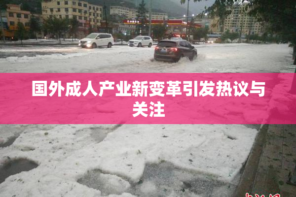 国外成人产业新变革引发热议与关注