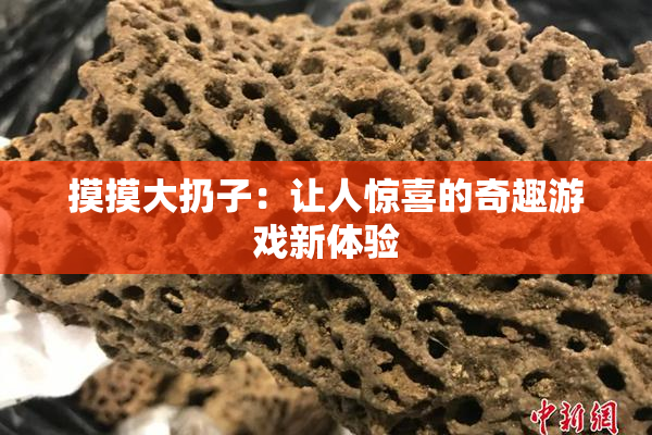 摸摸大扔子：让人惊喜的奇趣游戏新体验