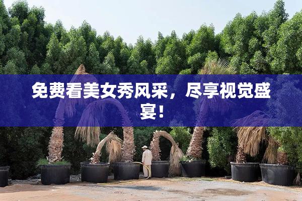 免费看美女秀风采，尽享视觉盛宴！