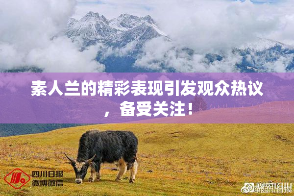 素人兰的精彩表现引发观众热议，备受关注！