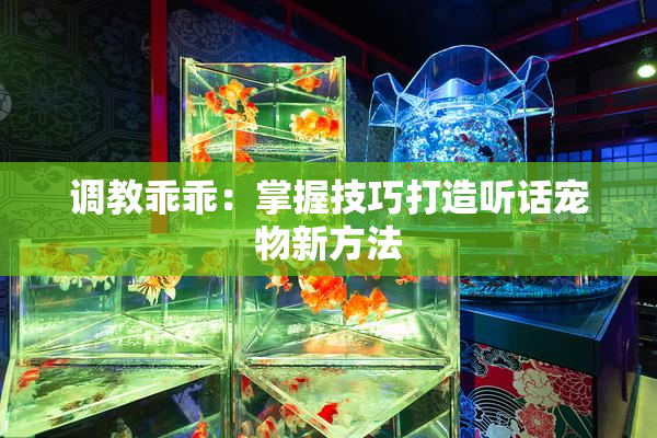 调教乖乖：掌握技巧打造听话宠物新方法