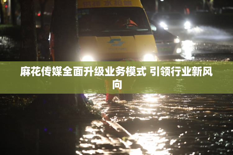 麻花传媒全面升级业务模式 引领行业新风向