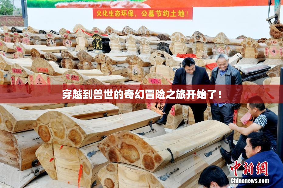 穿越到兽世的奇幻冒险之旅开始了！