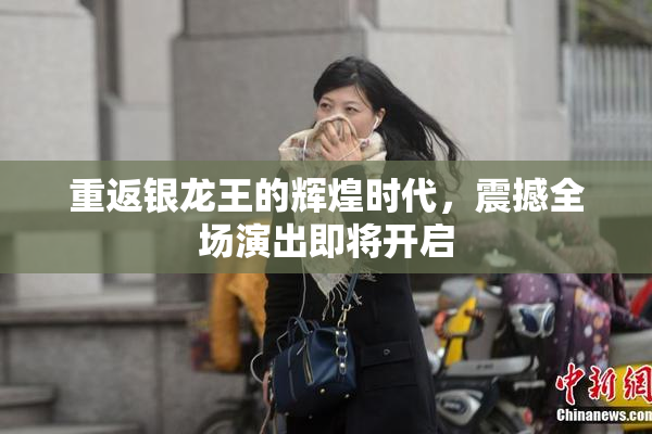重返银龙王的辉煌时代，震撼全场演出即将开启