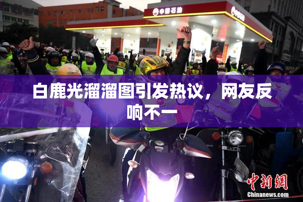 白鹿光溜溜图引发热议，网友反响不一