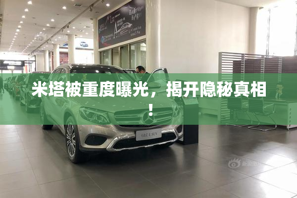 米塔被重度曝光，揭开隐秘真相！