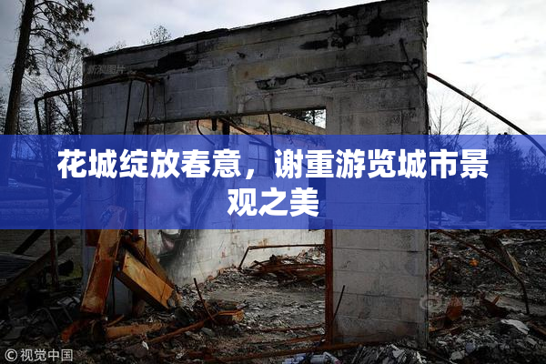 花城绽放春意，谢重游览城市景观之美