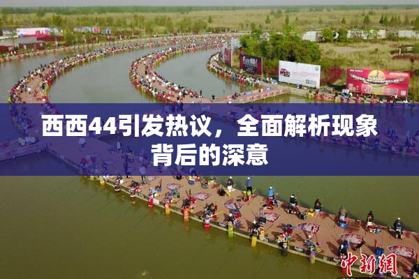 西西44引发热议，全面解析现象背后的深意