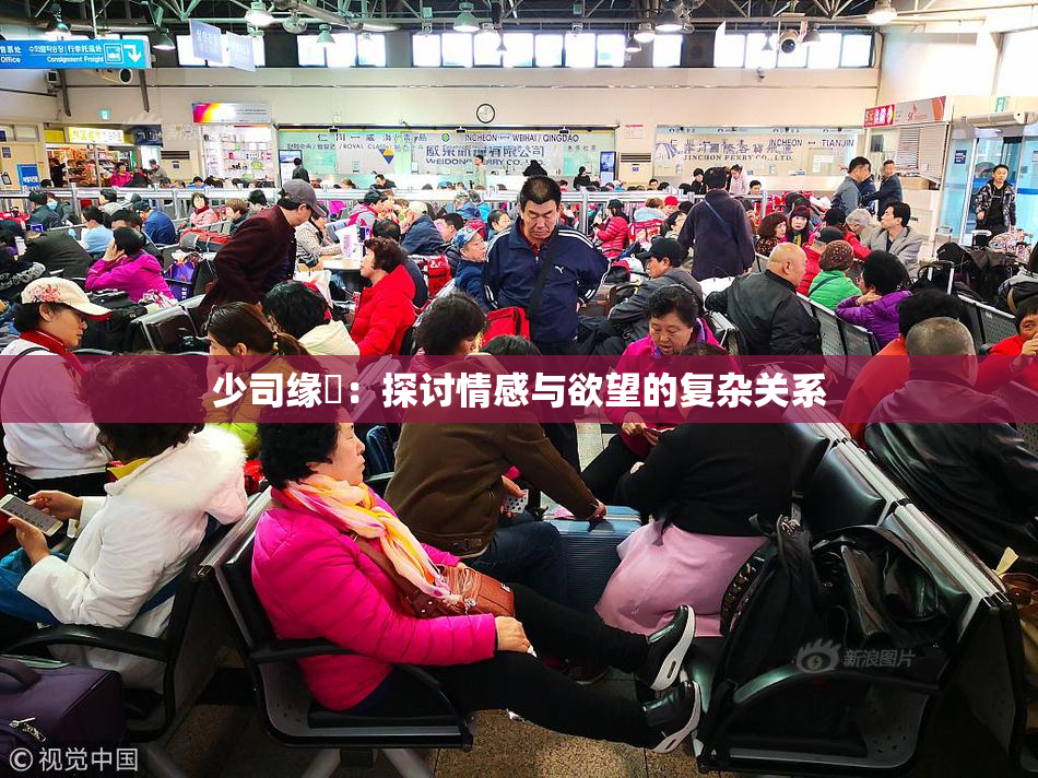 少司缘婬：探讨情感与欲望的复杂关系