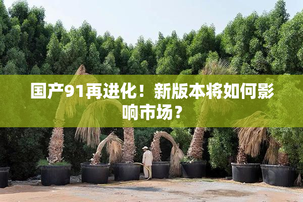 国产91再进化！新版本将如何影响市场？