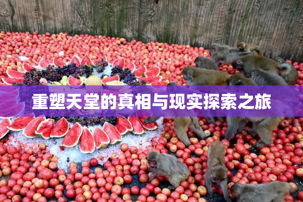 重塑天堂的真相与现实探索之旅