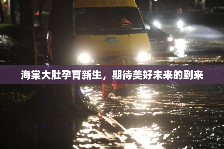 海棠大肚孕育新生，期待美好未来的到来