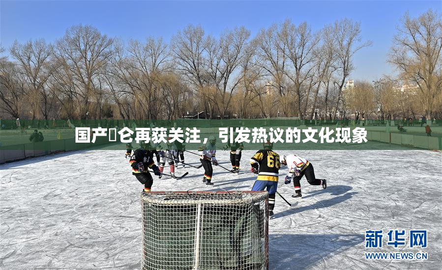 国产婬仑再获关注，引发热议的文化现象