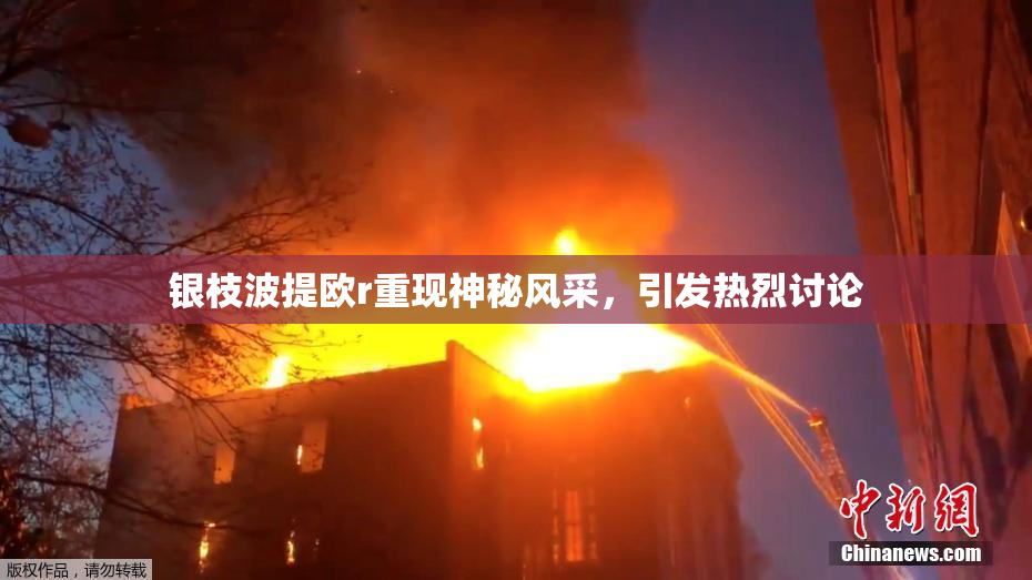银枝波提欧r重现神秘风采，引发热烈讨论
