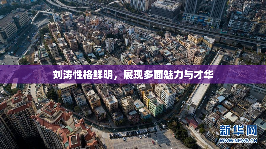 刘涛性格鲜明，展现多面魅力与才华