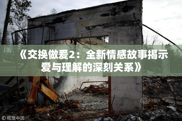 《交换做爰2：全新情感故事揭示爱与理解的深刻关系》